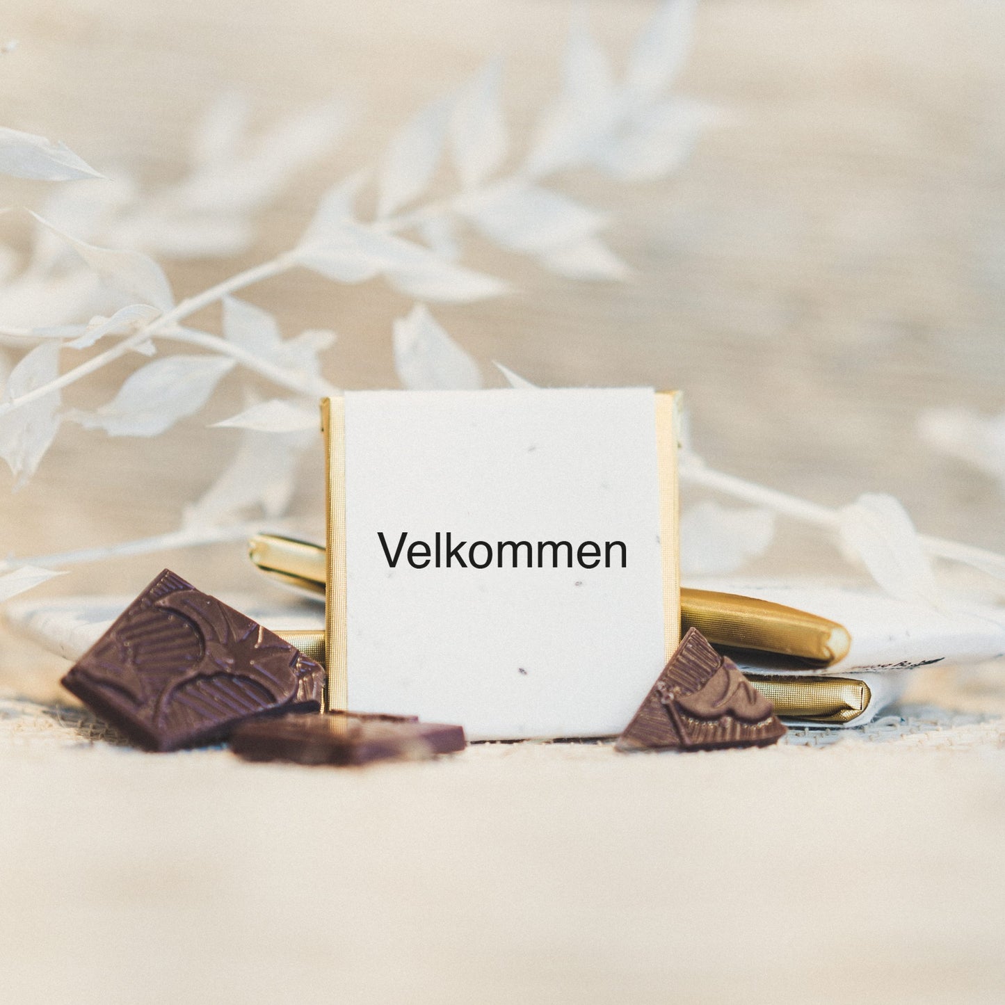 Velkommen